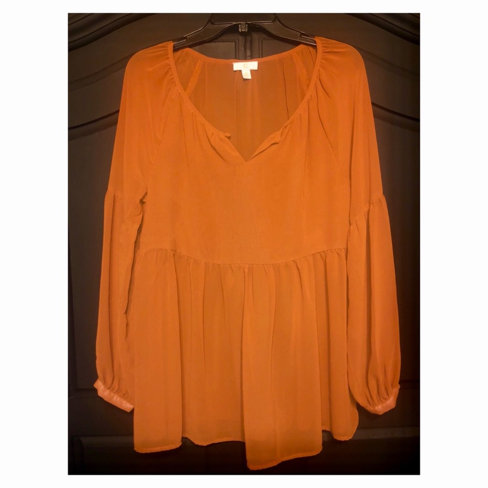 🌻 Sheer blouse 🌻
